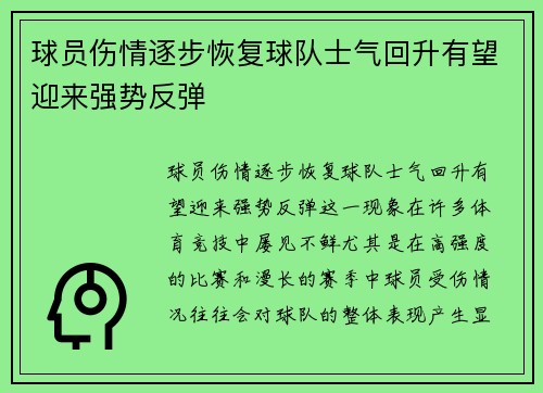 球员伤情逐步恢复球队士气回升有望迎来强势反弹